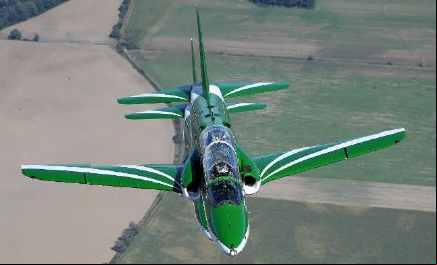 Saudi hawks (Arabia Saud