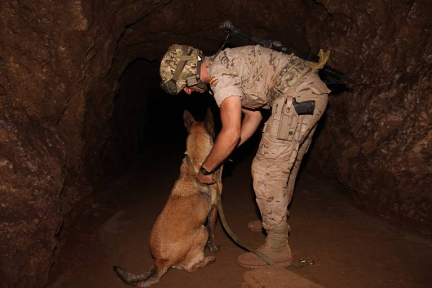 Un perro y su gu