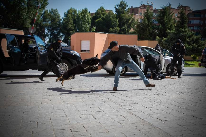 Los agentes caninos, muy presentes en el grupo, ofrecen un importante apoyo tanto en b
