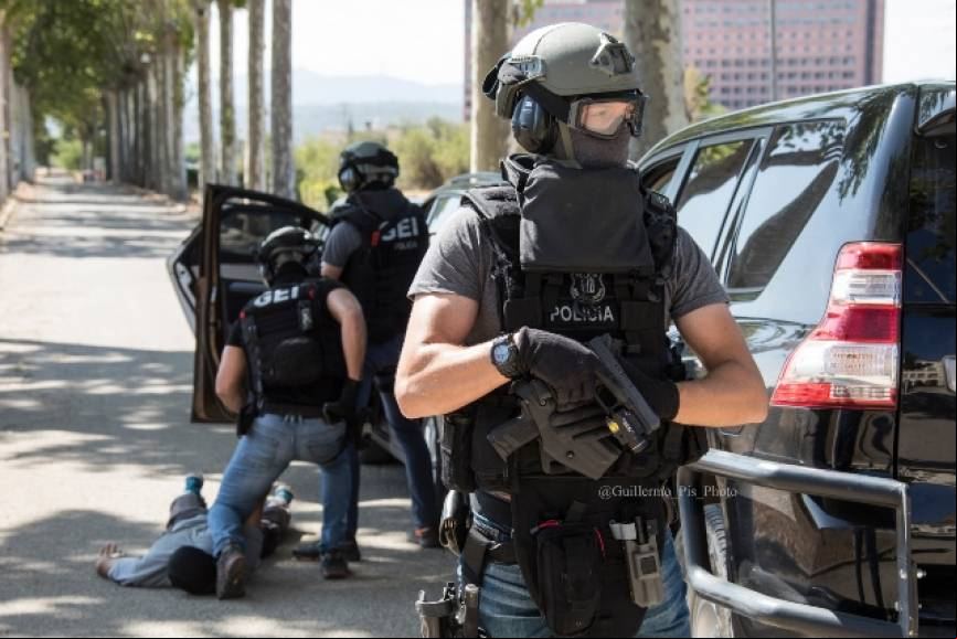 La importante colaboraci