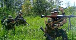 Escuadra de fusileros armados con fusiles de asalto Kalashnikov AK-103 7,62 mm y lanzacohetes RPG-7V1 de 85 mm. (Foto: CEOFANB)