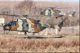 Los actuales helic