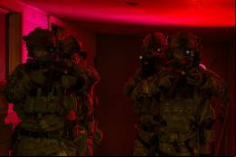 Fuerzas especiales del Ej